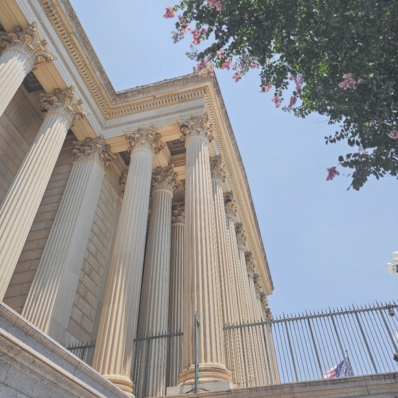 Meet your Posher, Fevie - Picture 9 of 14